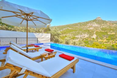 Villa Aslan Korunaklı Havuz 98