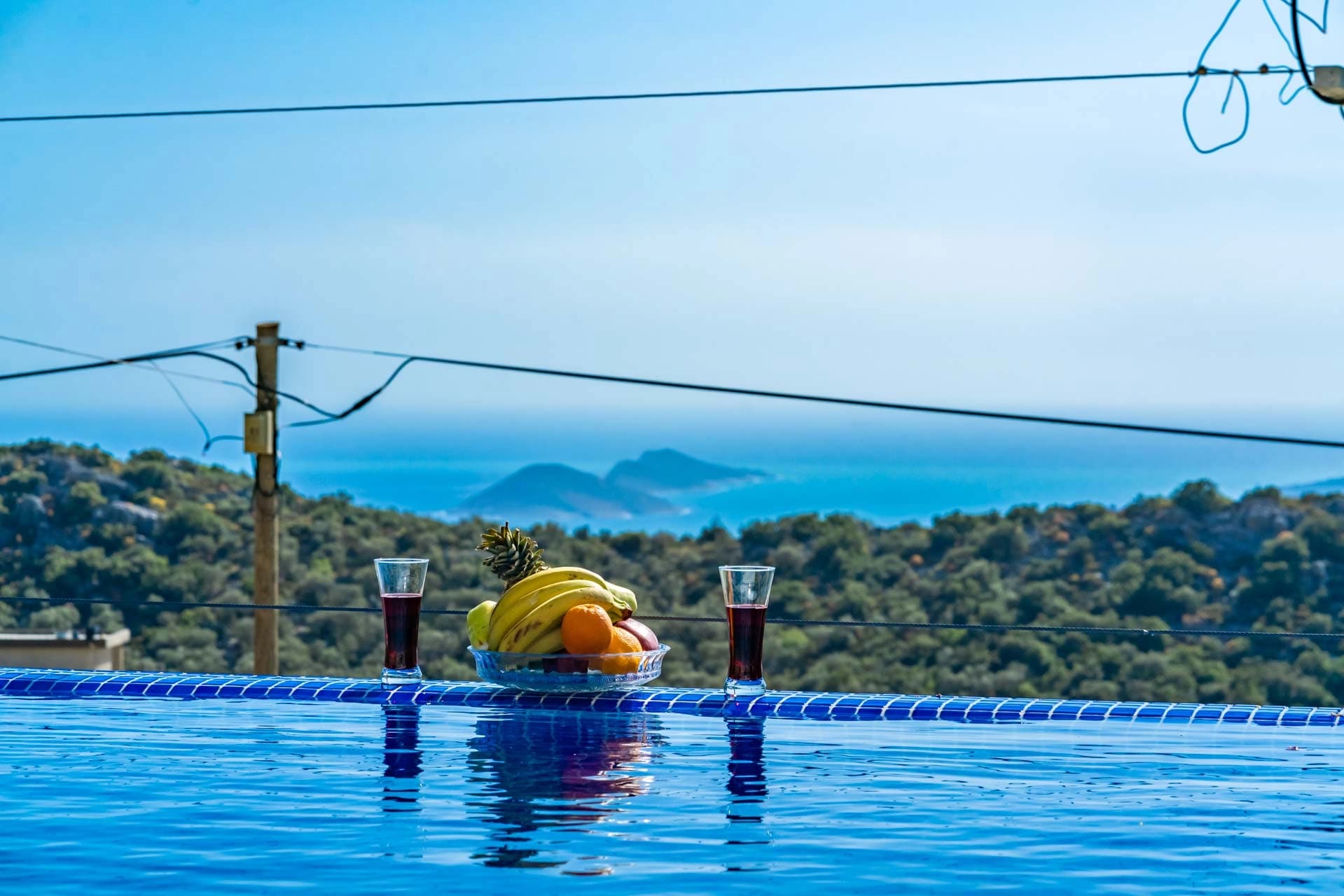 Villa Therapy 620 Korunaklı Havuz 42